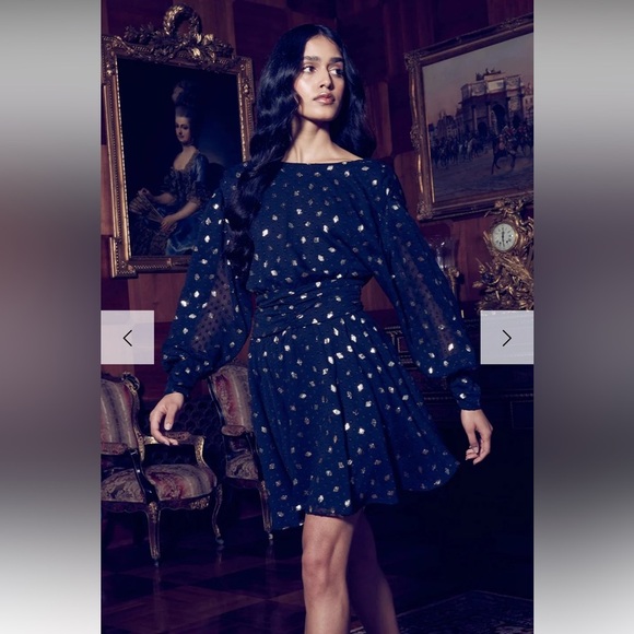 MISA Los Angeles Davie Ruched Metallic Chiffon Mini Dress (2 way wear) - Picture 15 of 16